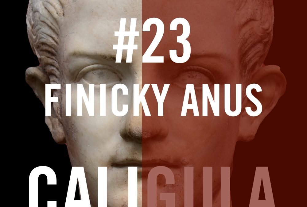 There's nothing worse than having a Finicky Anus aka Lucius Annius Vinicianus. According to Josephus, Vinicianus was one of the main conspirators. As we'll see, Vinicianus was a long history of conspiring against the Julio-Claudians - he was complicit in conspiracies to overthrow Tiberius, Caligula and Claudius. And his sons tried to overthrow Nero. The assassination of Caligula was planned to happen during the celebration of the Palatine games because Caligula had announced that he would be moving to Alexandria - perhaps permanently - the following day.